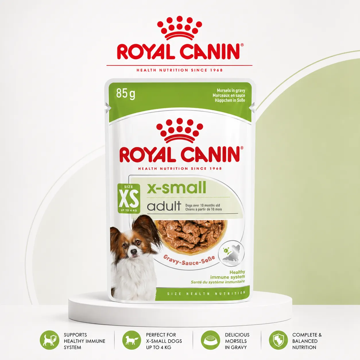 Royal Canin X-Small Adult Dog